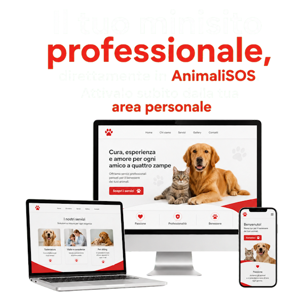 Il tuo minisito