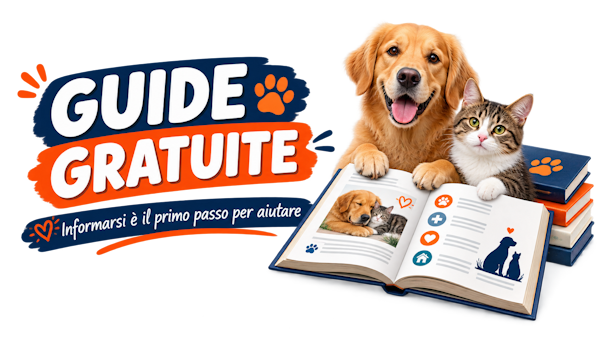Guide Gratuite