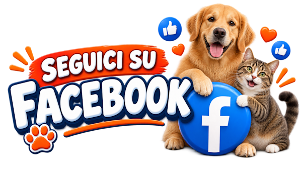 Seguici su Facebook