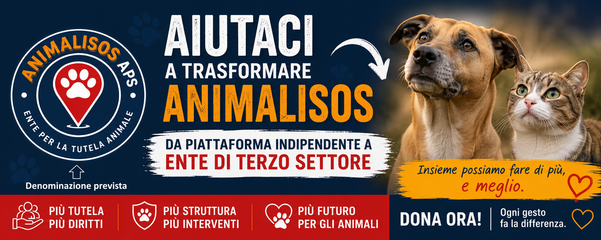Raccolta fondi