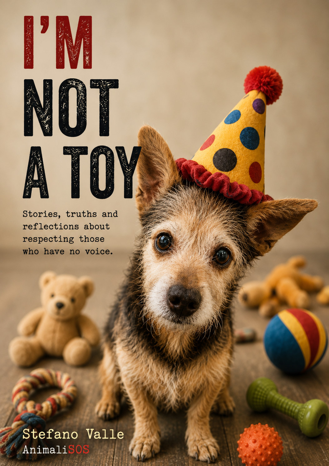 Copertina inglese del libro I'm not a toy