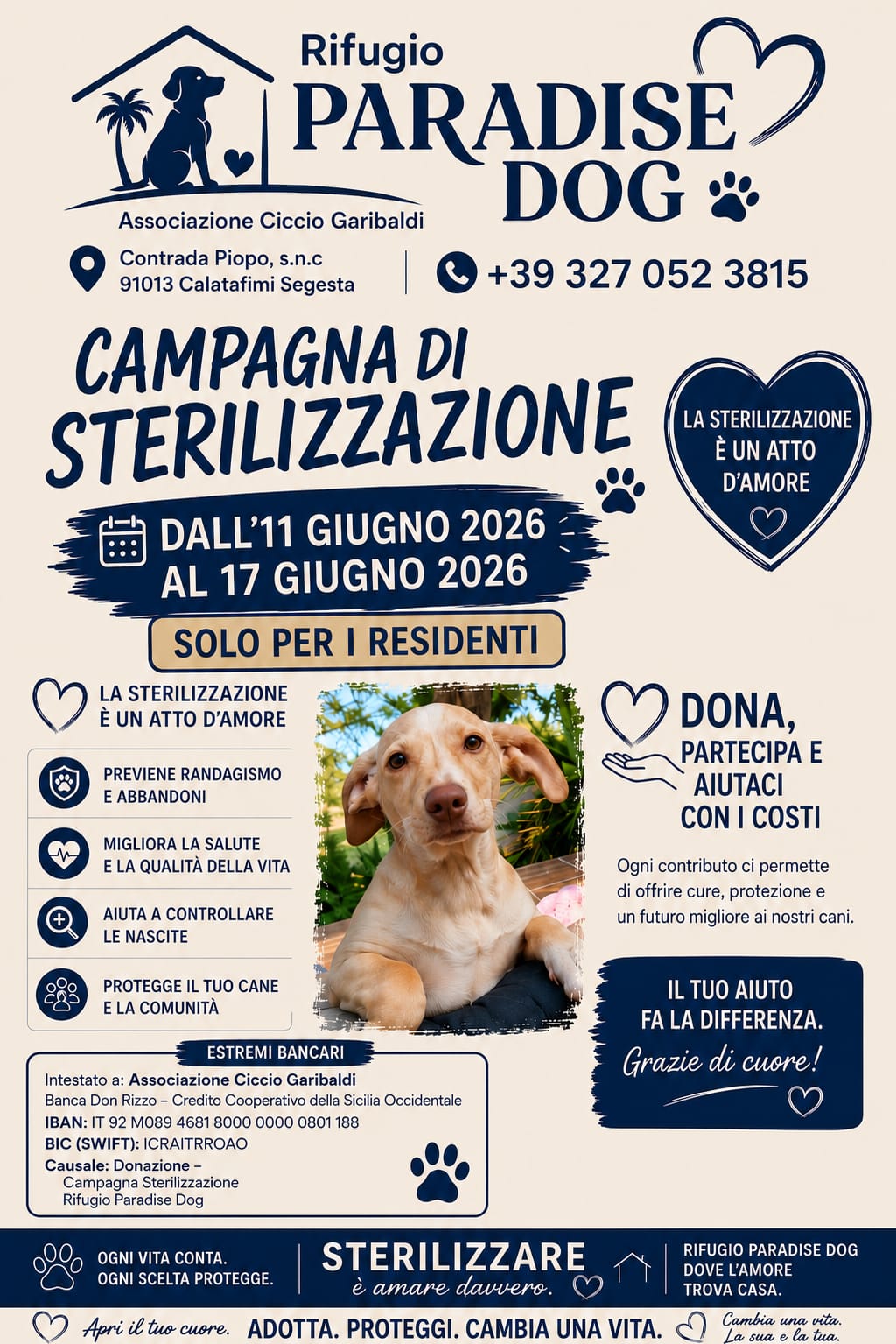Locandina campagna di sterilizzazione Rifugio Paradise Dog