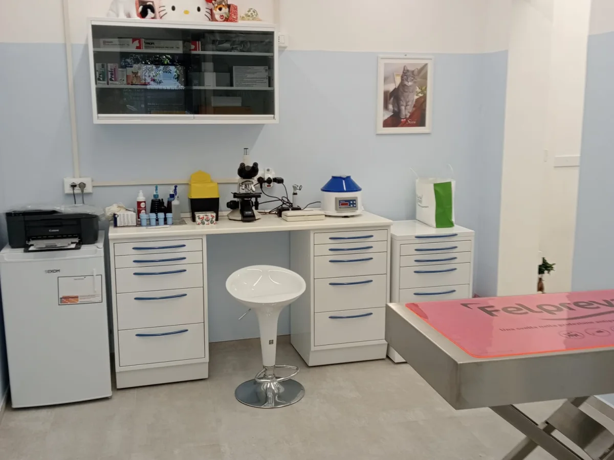 Immagine della galleria di STUDIO VETERINARIO IL GRIFONE AZZURRO