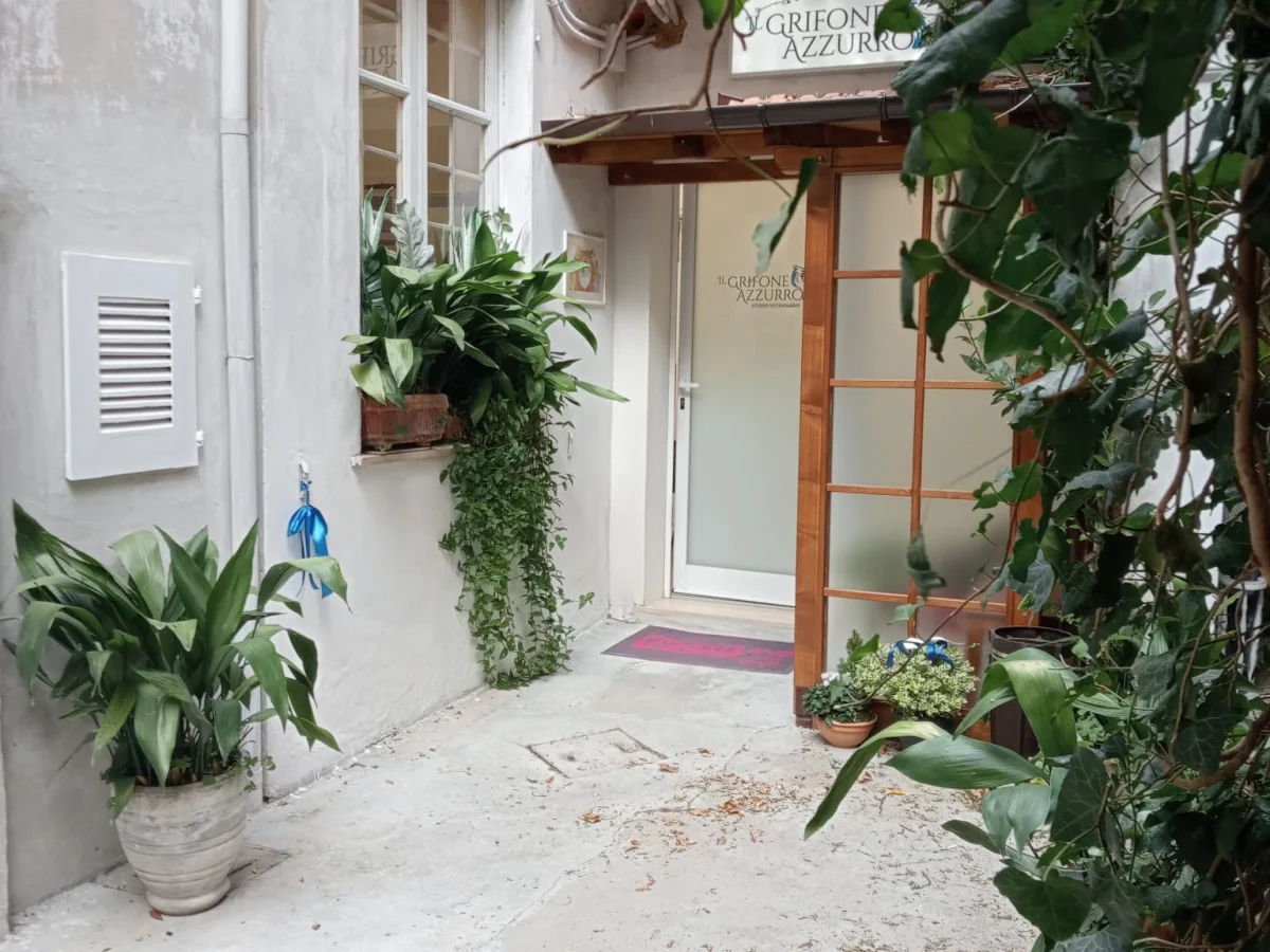 Immagine della galleria di STUDIO VETERINARIO IL GRIFONE AZZURRO