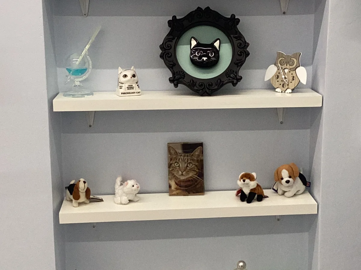 Immagine della galleria di STUDIO VETERINARIO IL GRIFONE AZZURRO