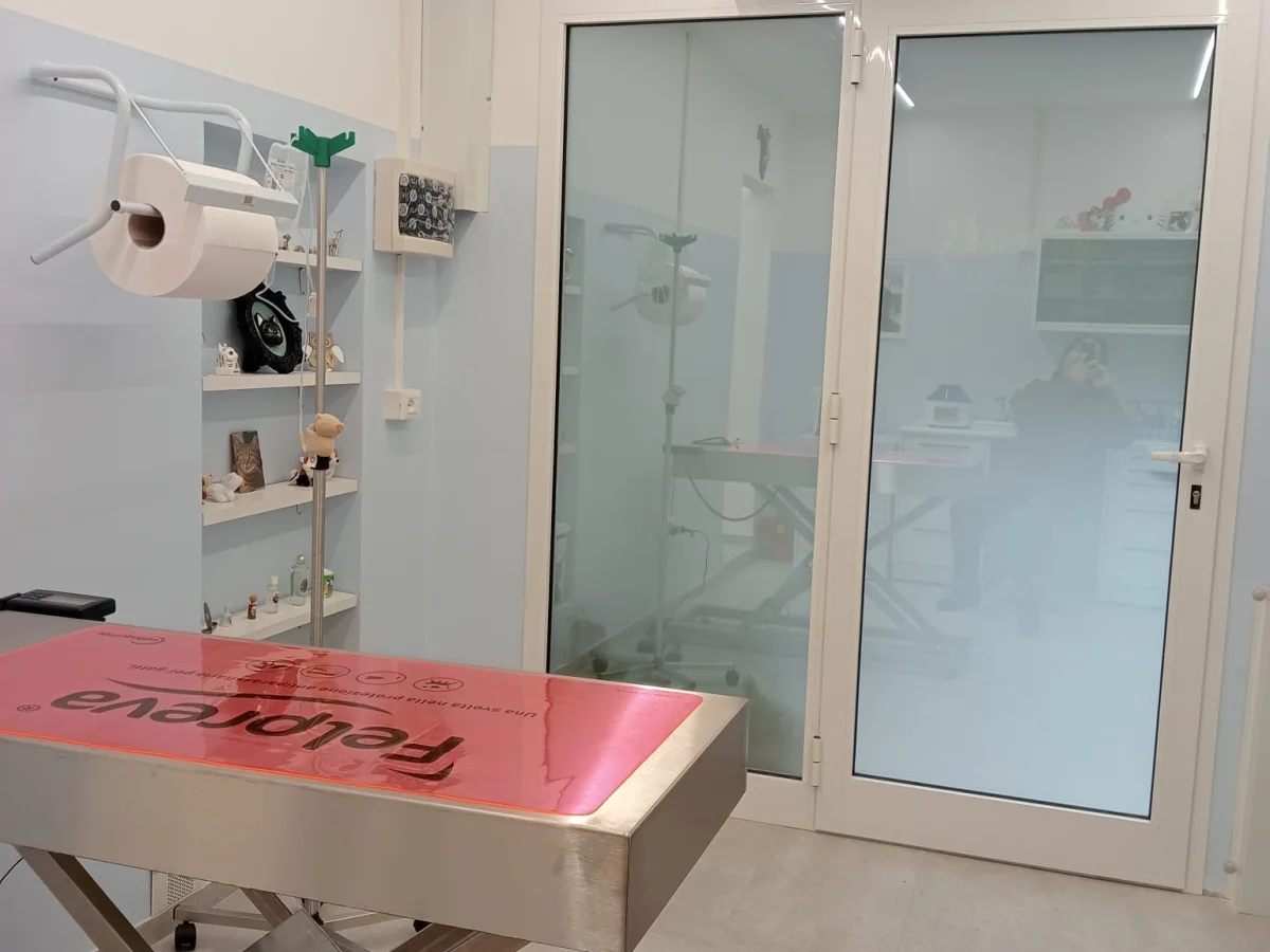 Immagine della galleria di STUDIO VETERINARIO IL GRIFONE AZZURRO