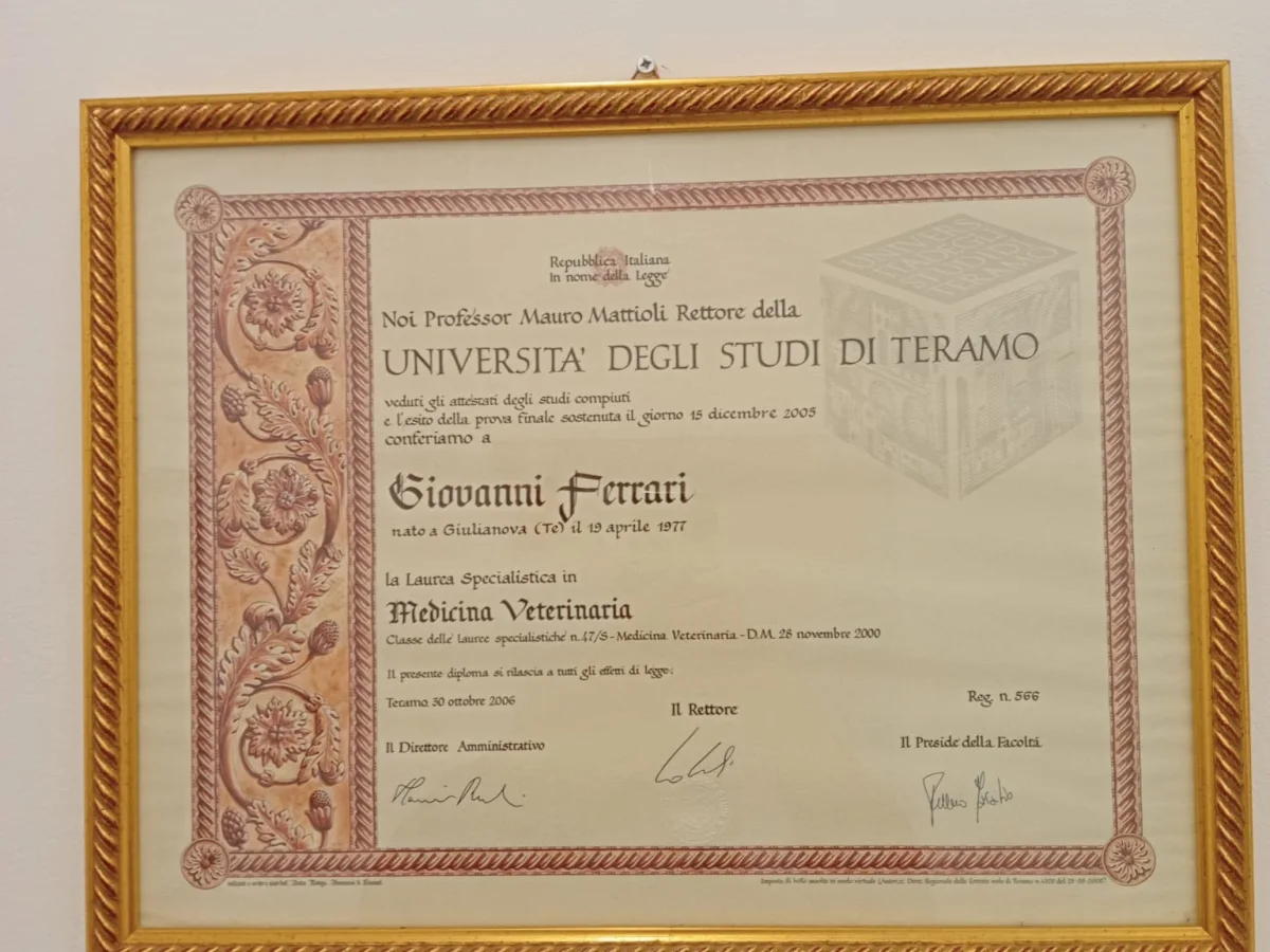 Immagine della galleria di STUDIO VETERINARIO IL GRIFONE AZZURRO