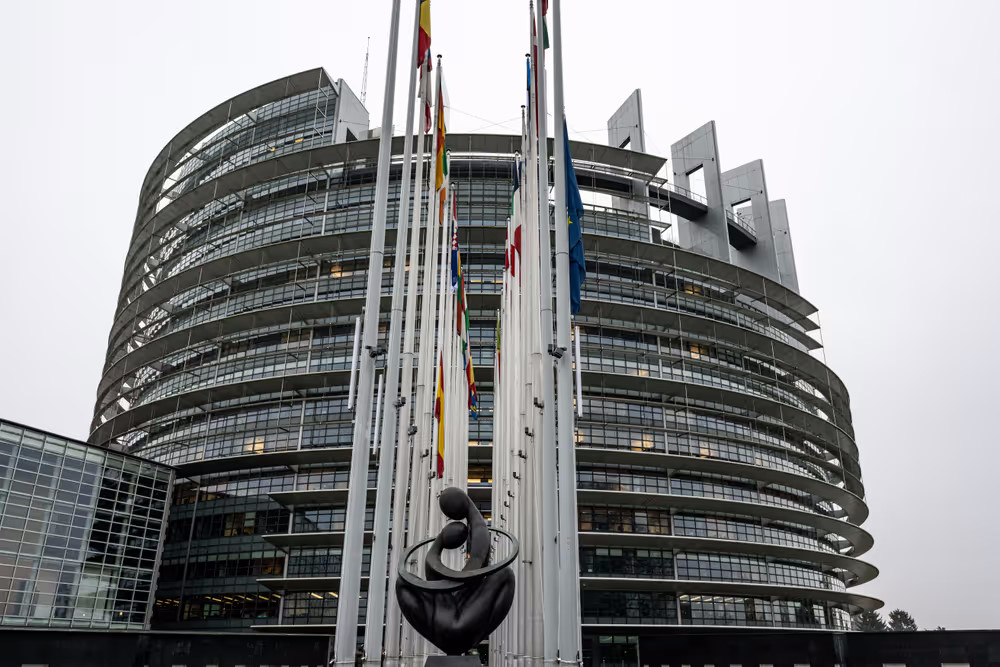 Appello in Europa contro pellicce e crudeltà della moda