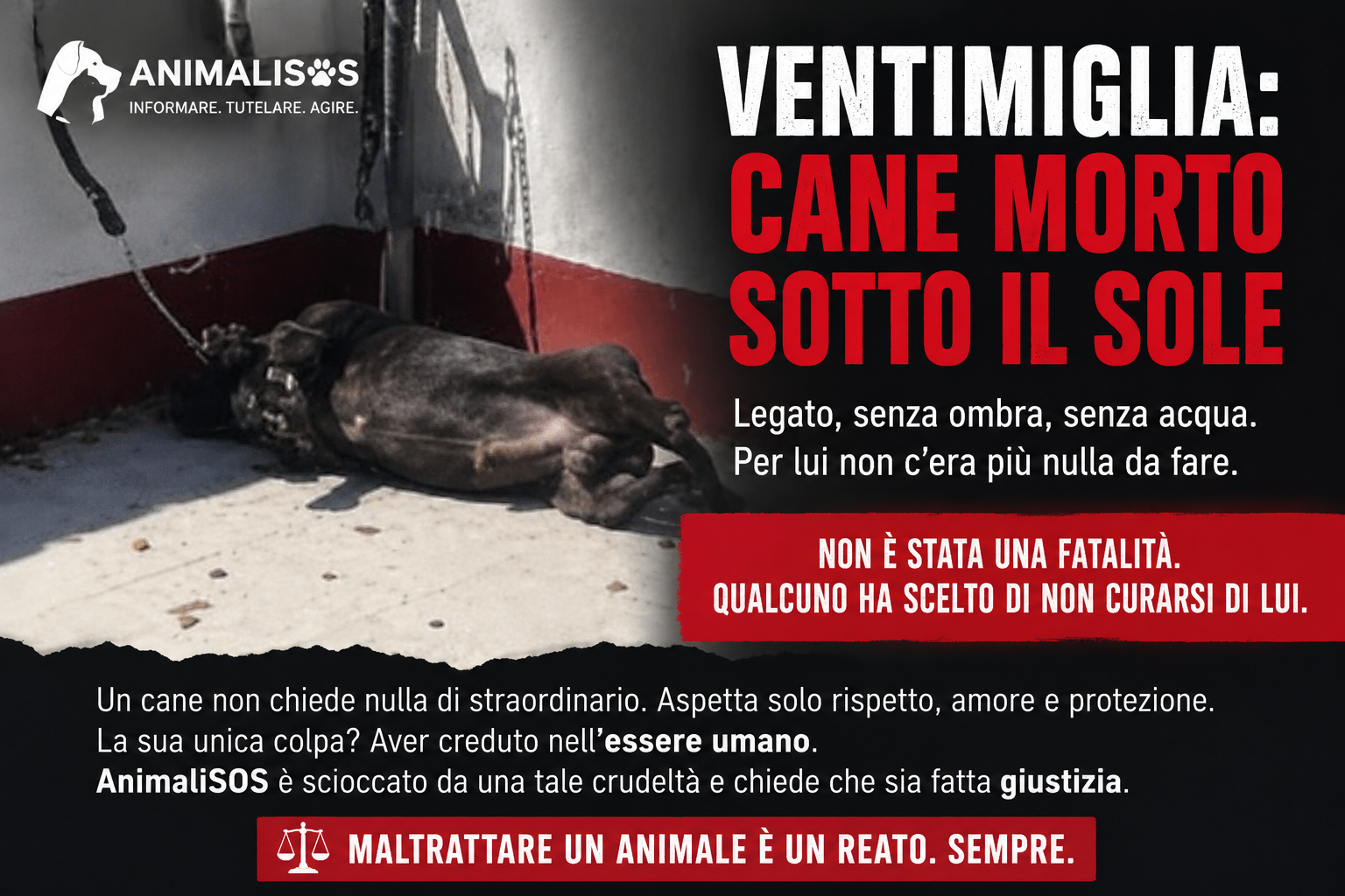 Cane morto di calore sul balcone a Ventimiglia: una tragedia che si poteva evitare
