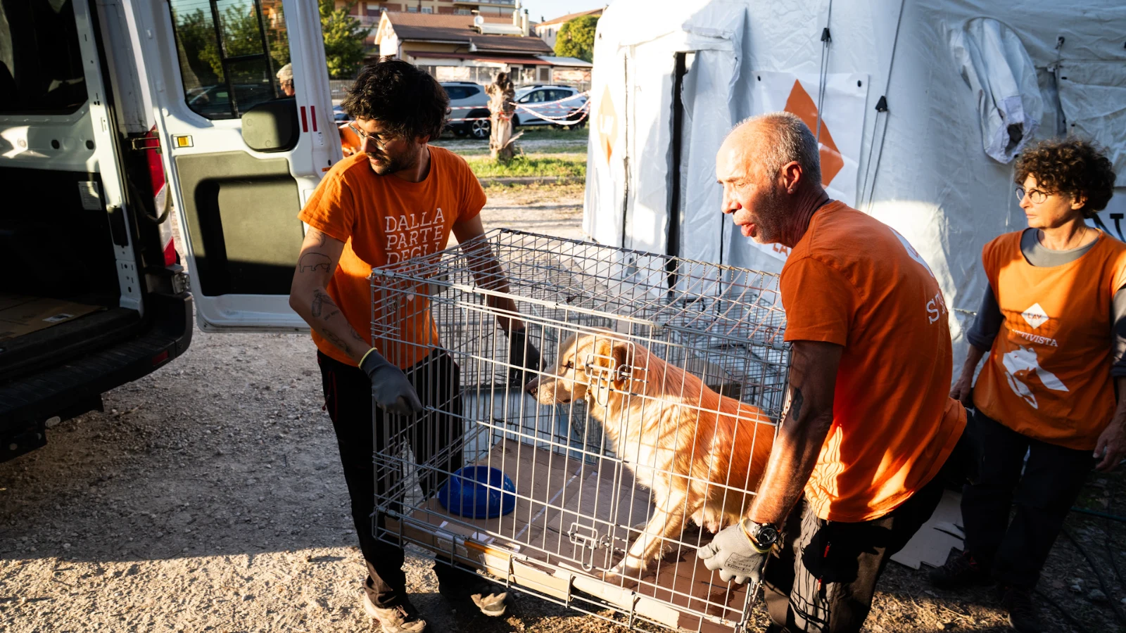 Tivoli, i cani delle cave restano liberi ma protetti: parte il progetto “Cani Liberi e Accuditi”