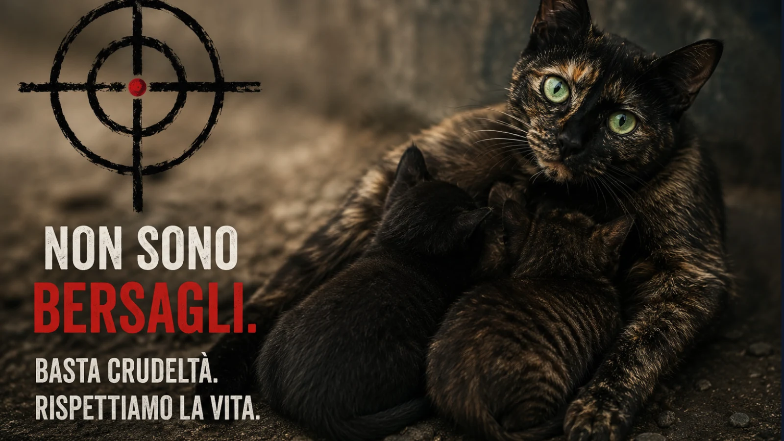 Gatta usata come bersaglio mentre allattava i cuccioli: fin dove può arrivare la crudeltà umana?