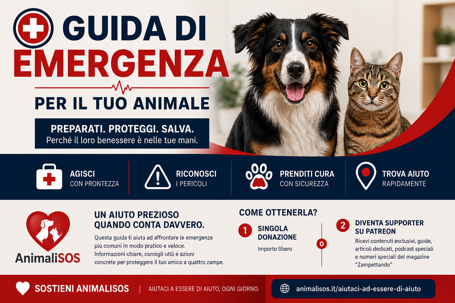 Guida Primo Soccorso Animali: il manuale d'emergenza di AnimaliSOS