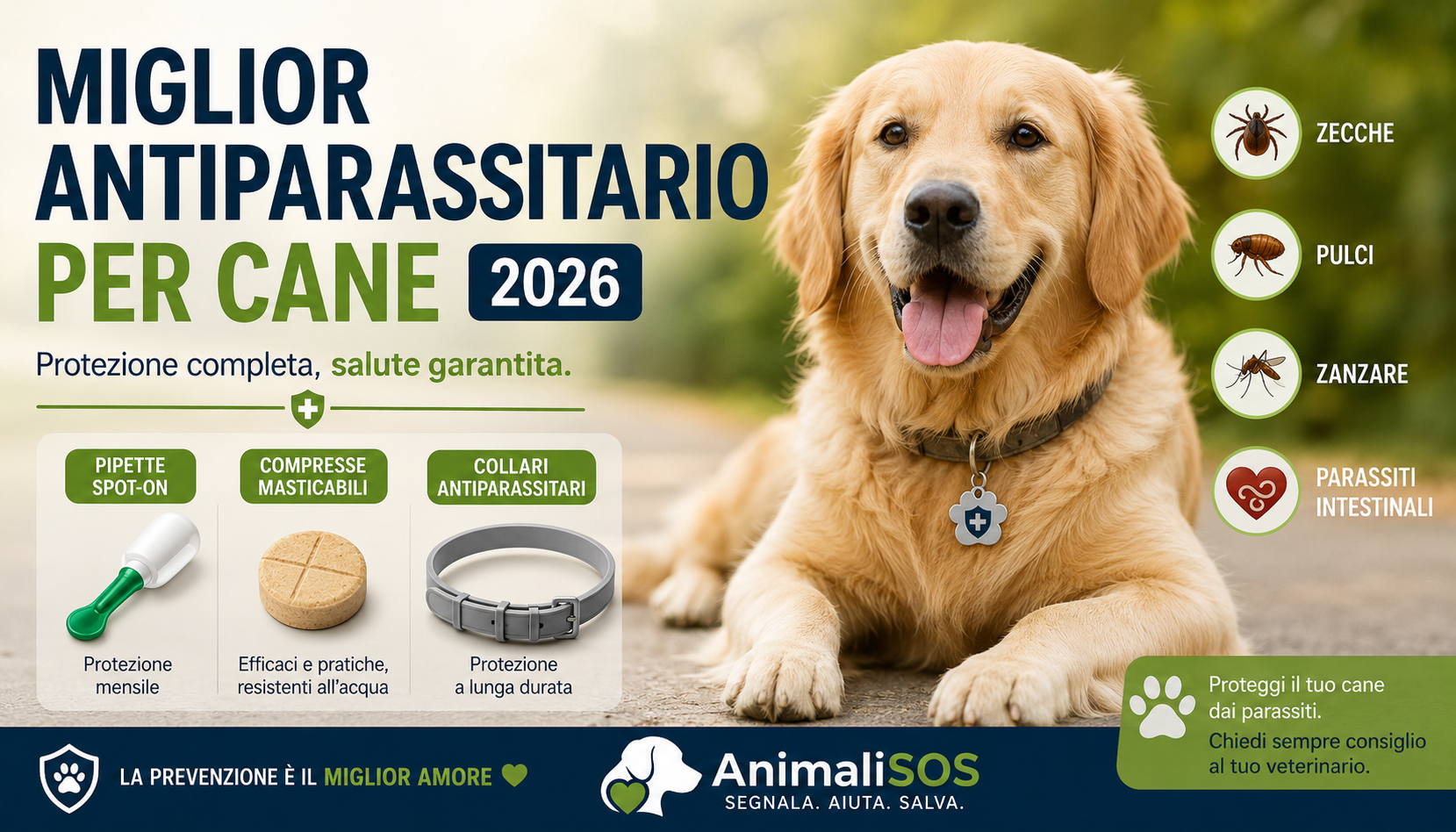 Miglior Antiparassitario per Cane: Quale Scegliere nel 2026?