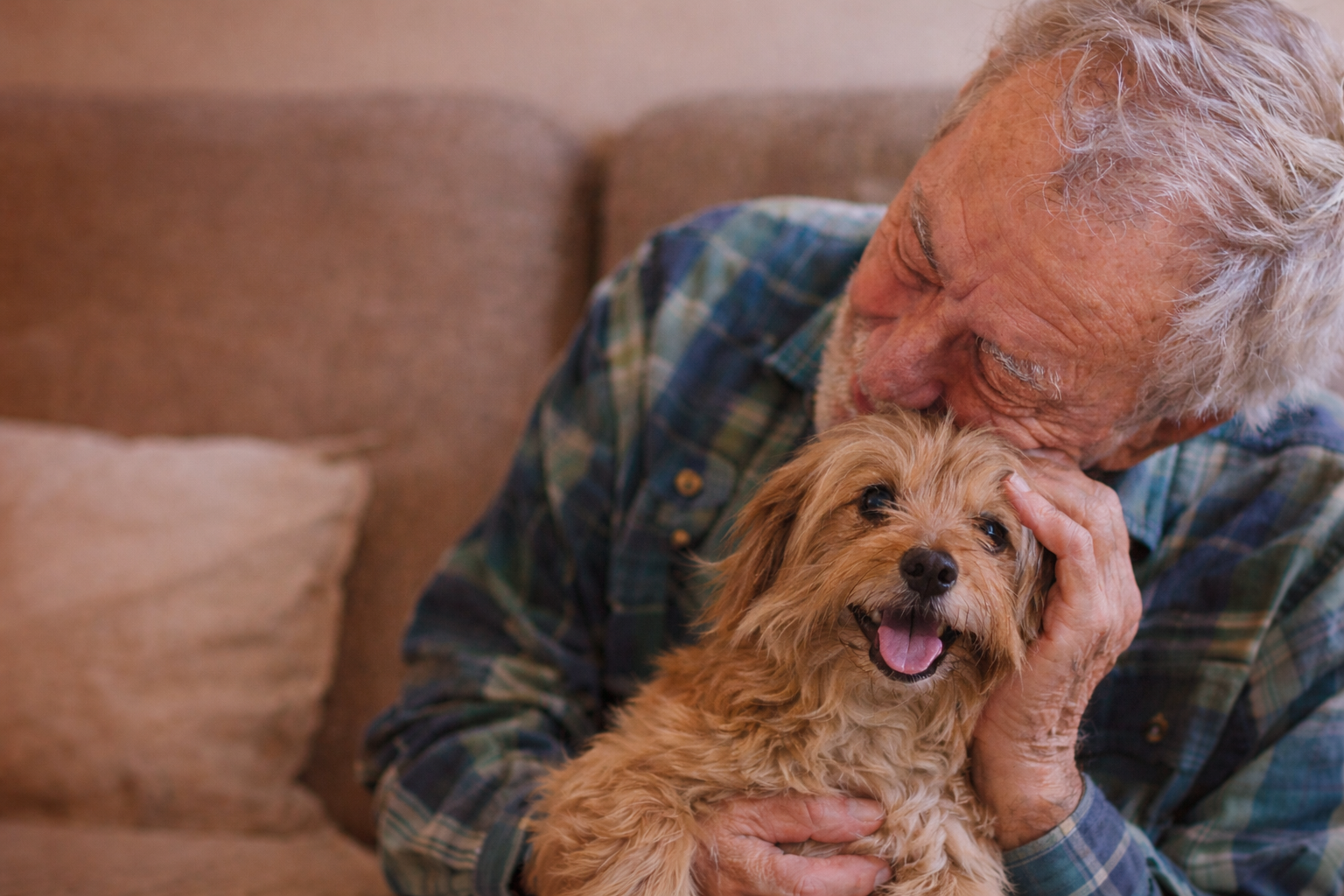 Perché un animale domestico è ancora considerato un “lusso”?