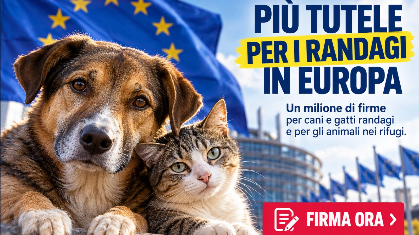 Più tutele per cani e gatti randagi in Europa: firmiamo per portarli davanti alla Commissione UE