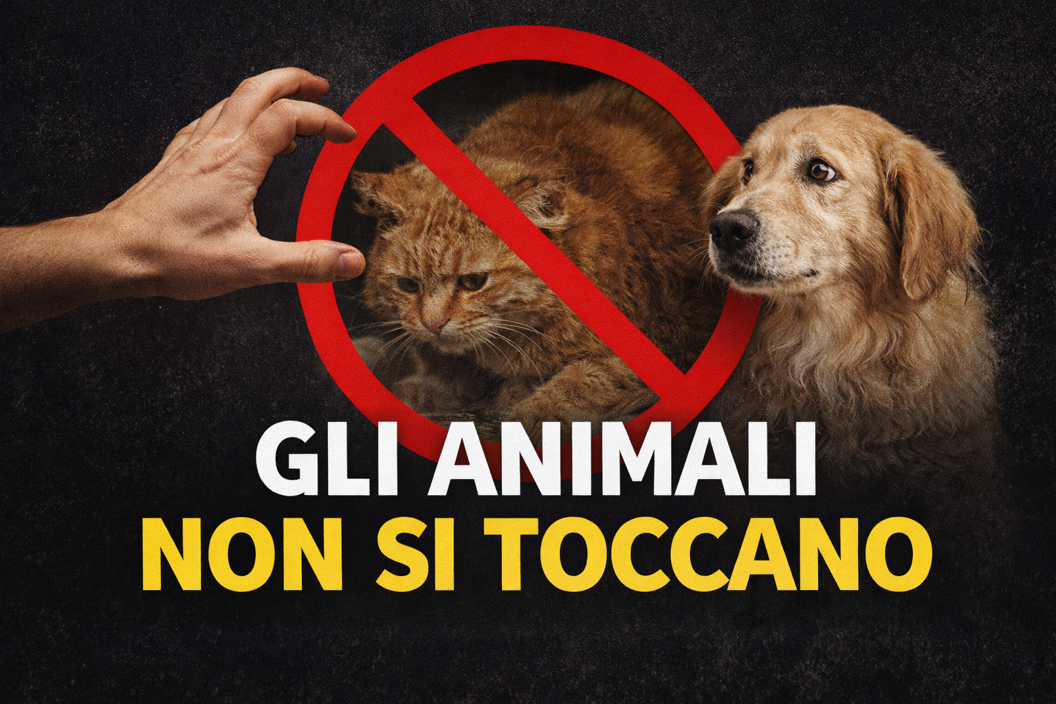 Come fare una segnalazione anonima per maltrattamento animali?