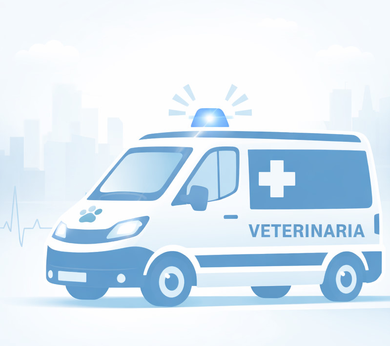 AMBULANZA  VETERINARIA  DEODARA ODV