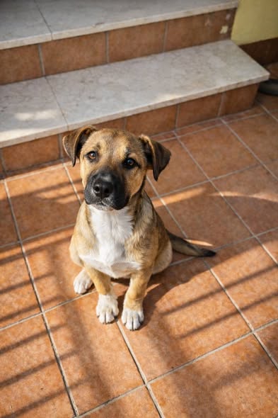 💔TROVATA CON UN CAPPIO AL COLLO