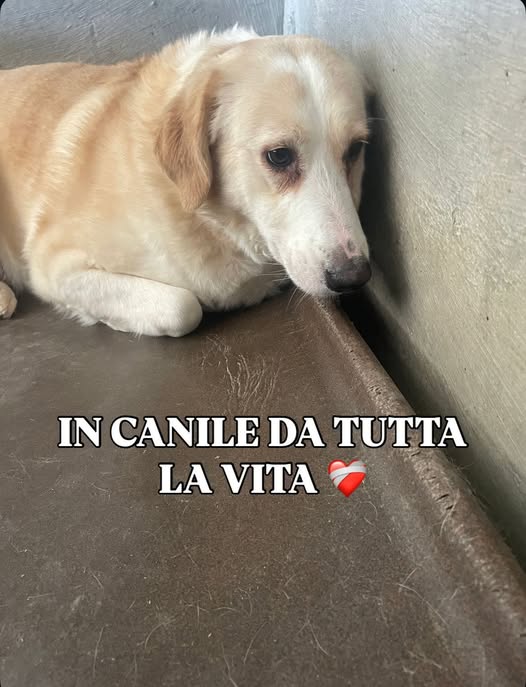 Edith, cerca aiuto.