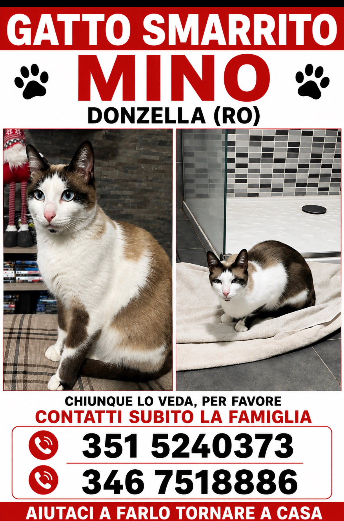 Se lo vedete o avete notizie scriveteci siamo preoccupati