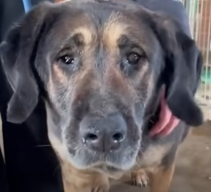 ‼️Agatha morirà qui dentro‼️