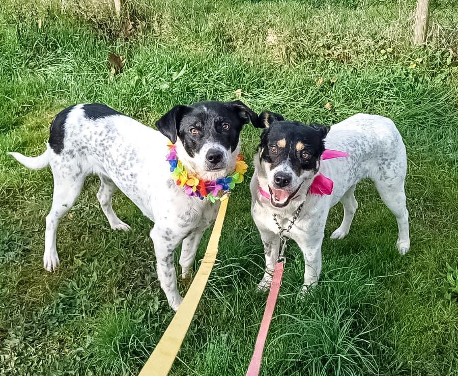 THELMA & LUISE